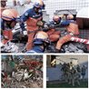 Real Time Talk Life Detector 360° Rotating HD Audio Video Camera Probe and 2-way Talk - Find Living Human in Collapsed Building